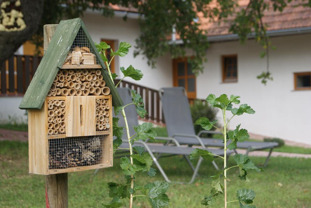 Ferienwohnung Ferienhaus Bioeck Muhlgraben Exterior foto